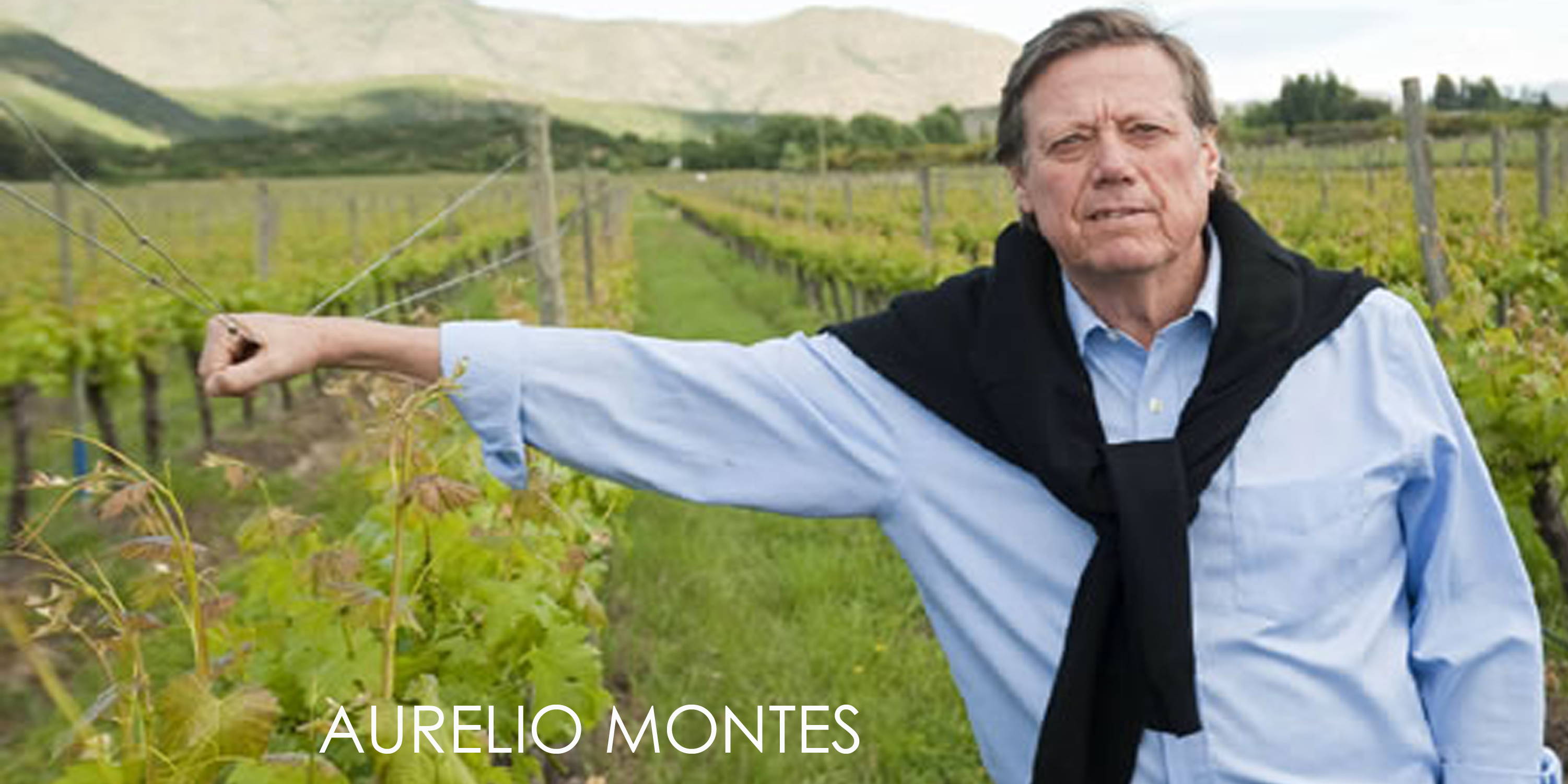 AURELIO MONTES CHILE HISPANIC WINE MAKERS